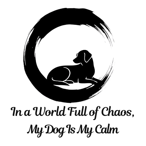 In a World Full of Chaos My Dog Is My Calm T-Shirt