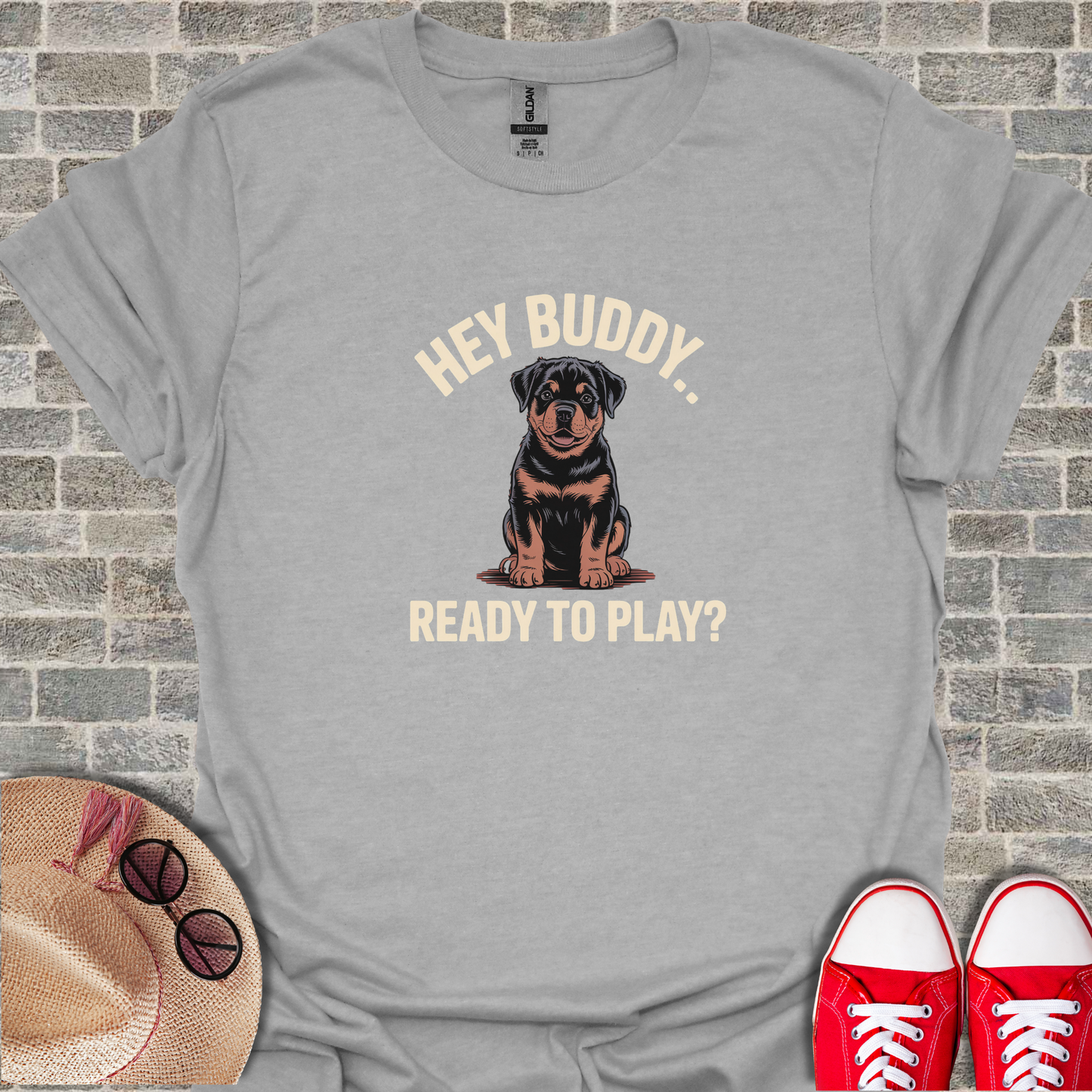 Hey_Buddy_Ready_To_Play