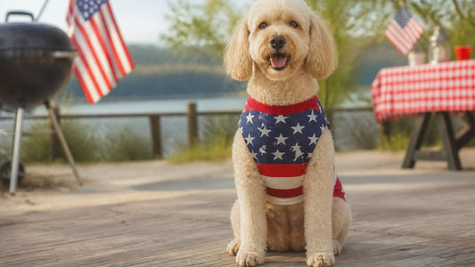 4th July T-Shirt Guide: Patriotic Dog Shirts to Wear