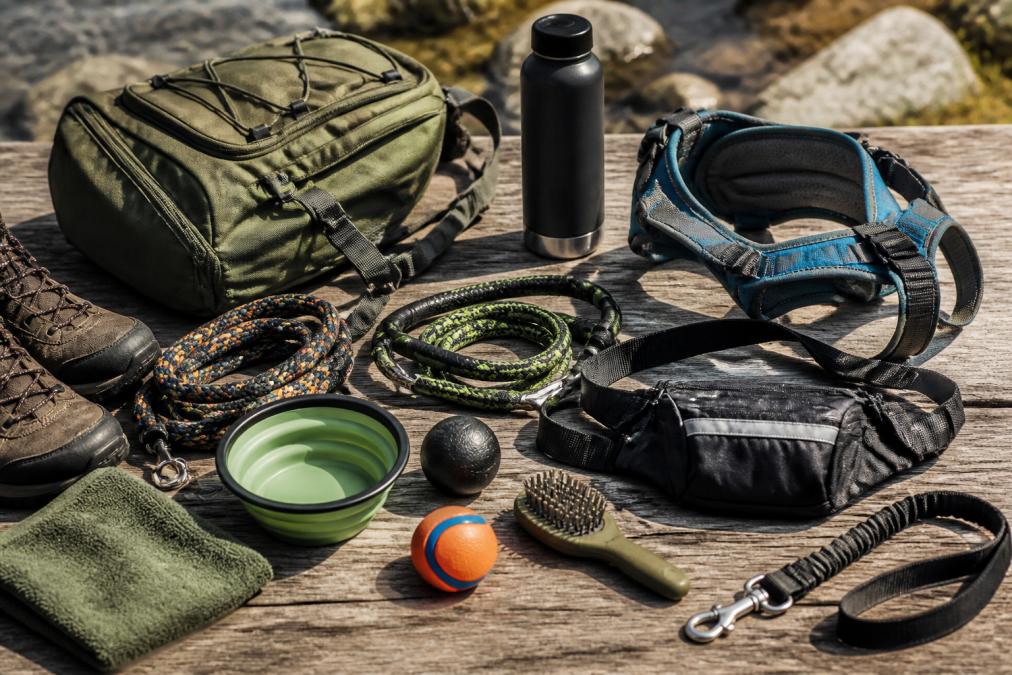 Best Gifts for Active Dog Owners: 2026 Gear Guide