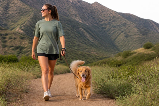 Comfortable Shirts for Dog Walking Adventures in 2026