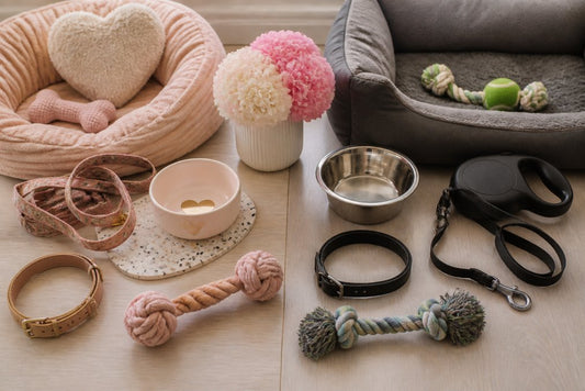 Dog Mom Aesthetic vs Casual Dog Owner Style: 2026 Guide