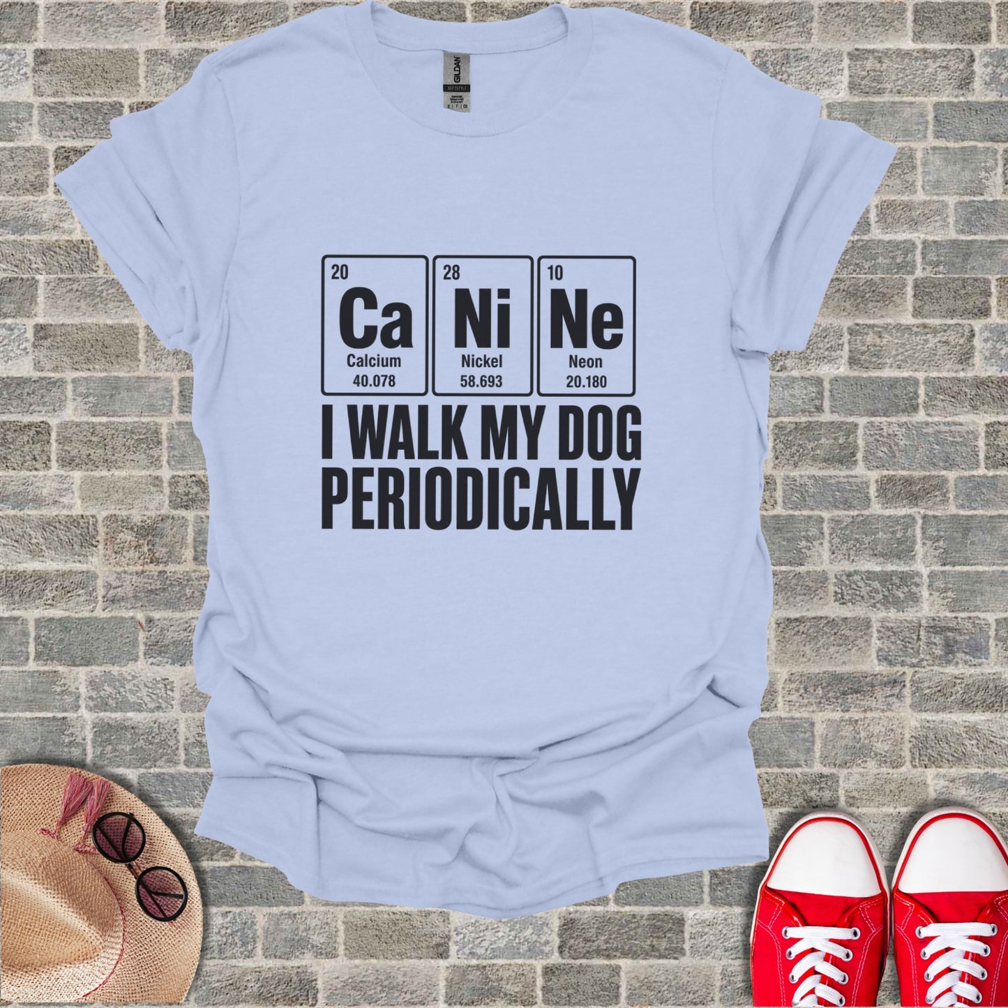 Light blue t-shirt with "Ca Ni Ne I WALK MY DOG PERIODICALLY" text.