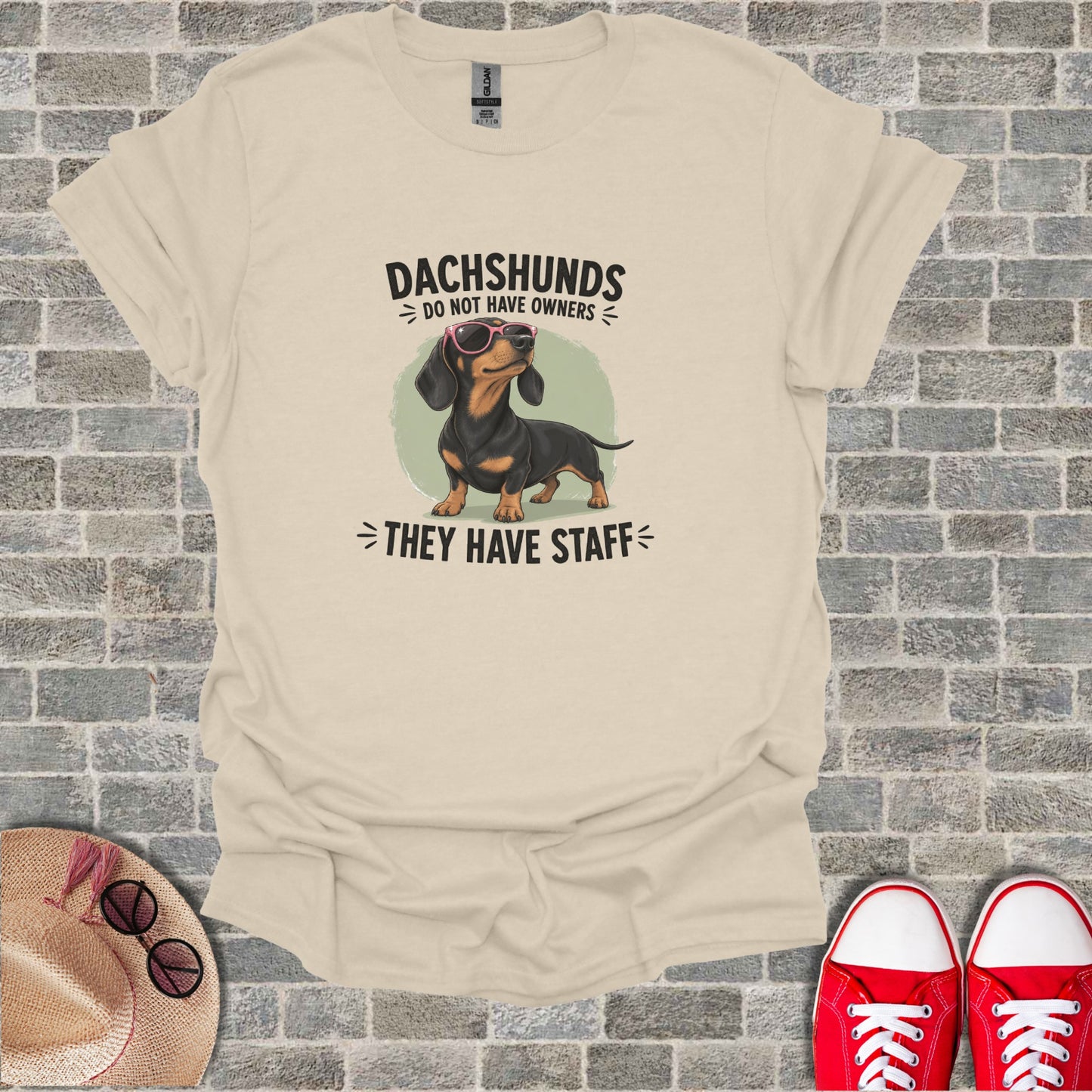 Dachshund with sunglasses on beige t-shirt that says "Dachshunds do not have owners they have staff".