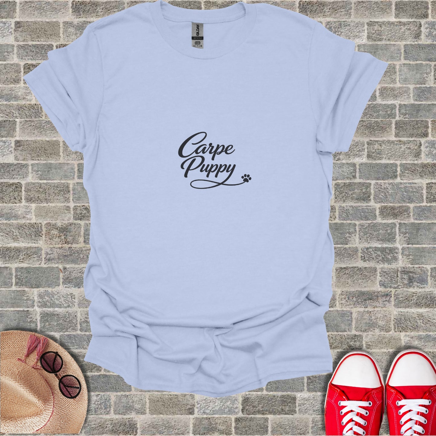 Carpe Puppy paw print light blue graphic tee product type