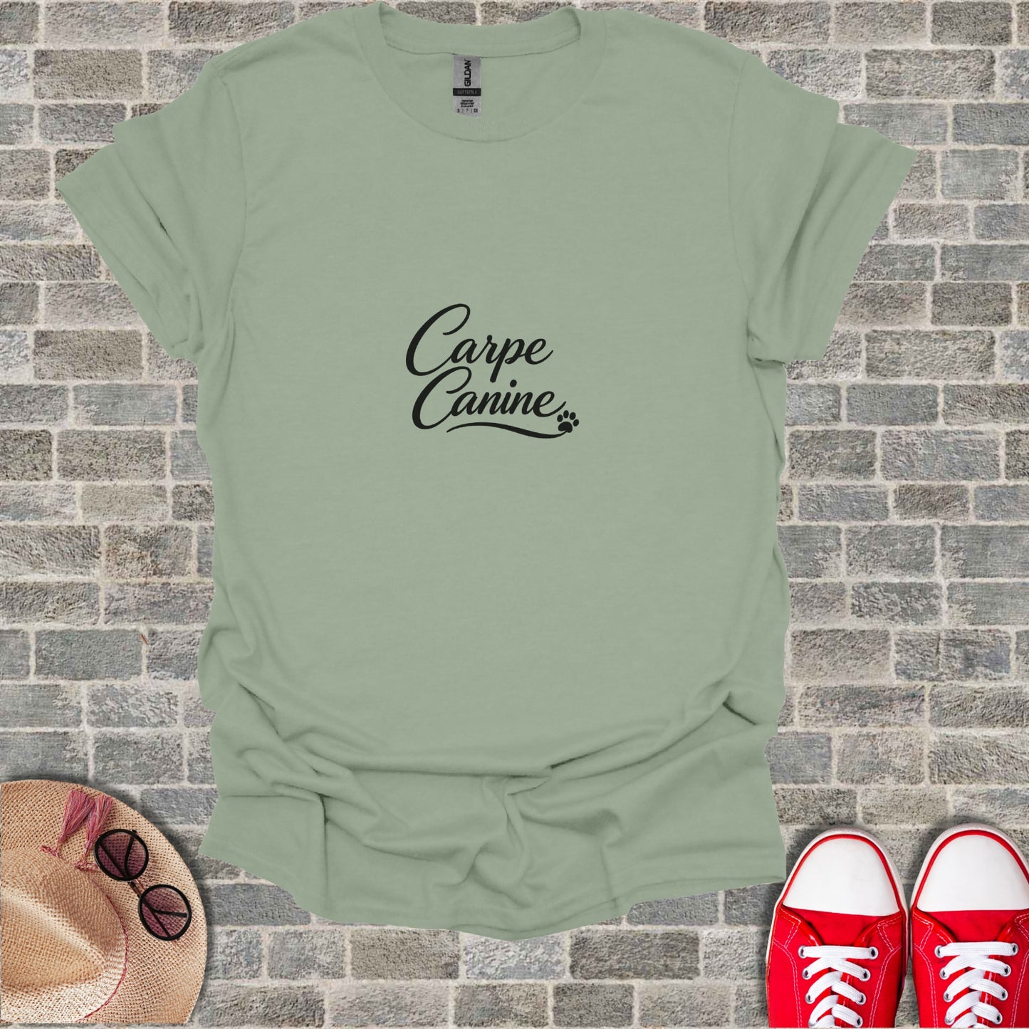 Carpe Canine Sage Green T-Shirt product type