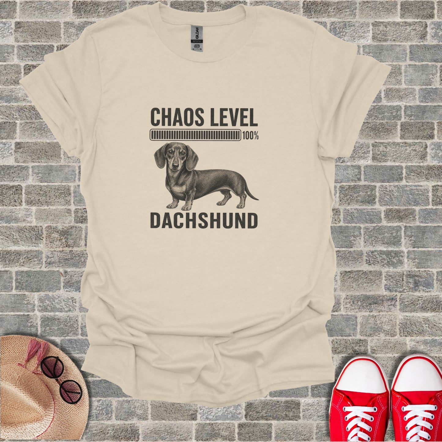 Beige t-shirt with "CHAOS LEVEL 100%" and dachshund graphic.