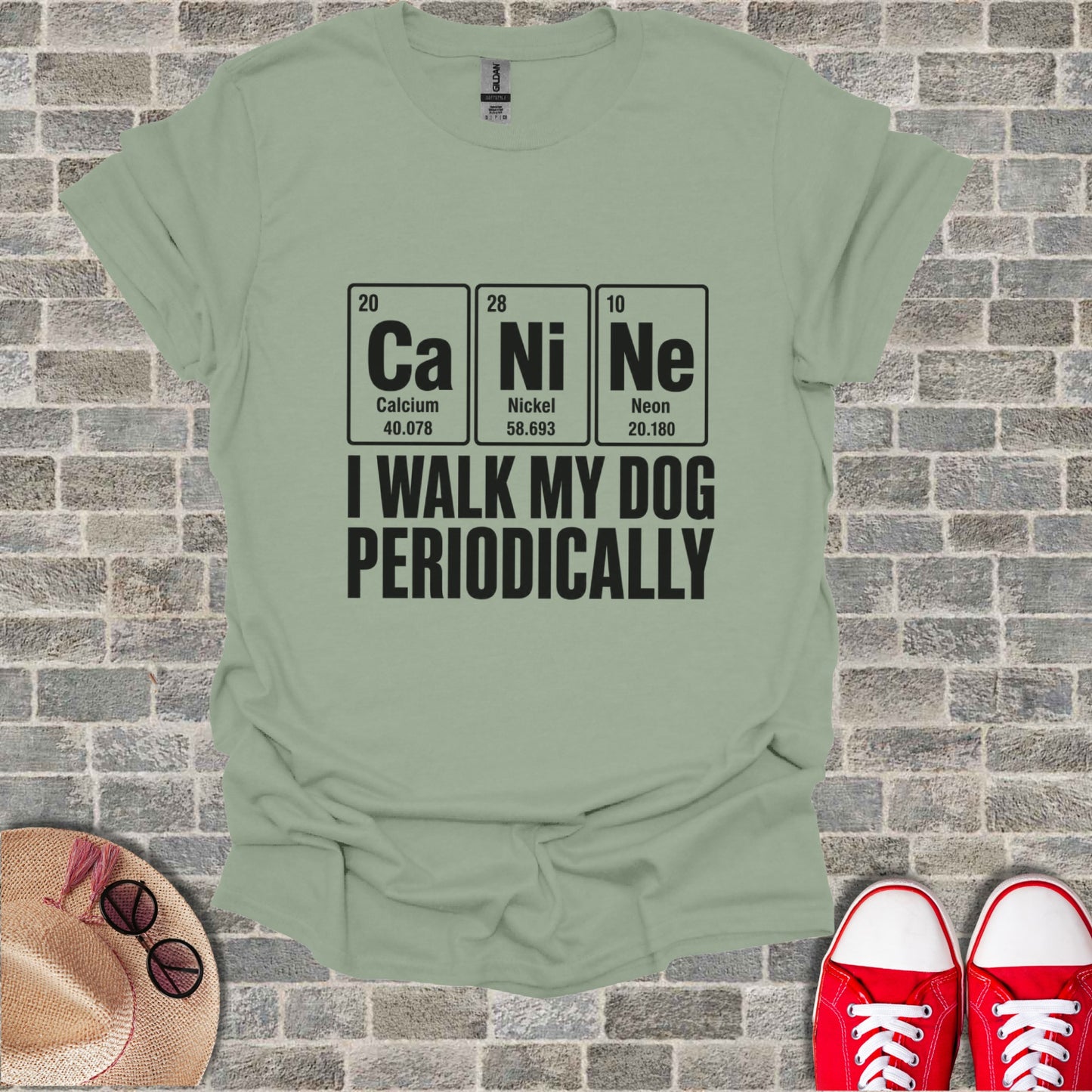 Light green t-shirt with periodic table elements Ca, Ni, Ne and text "I WALK MY DOG PERIODICALLY".