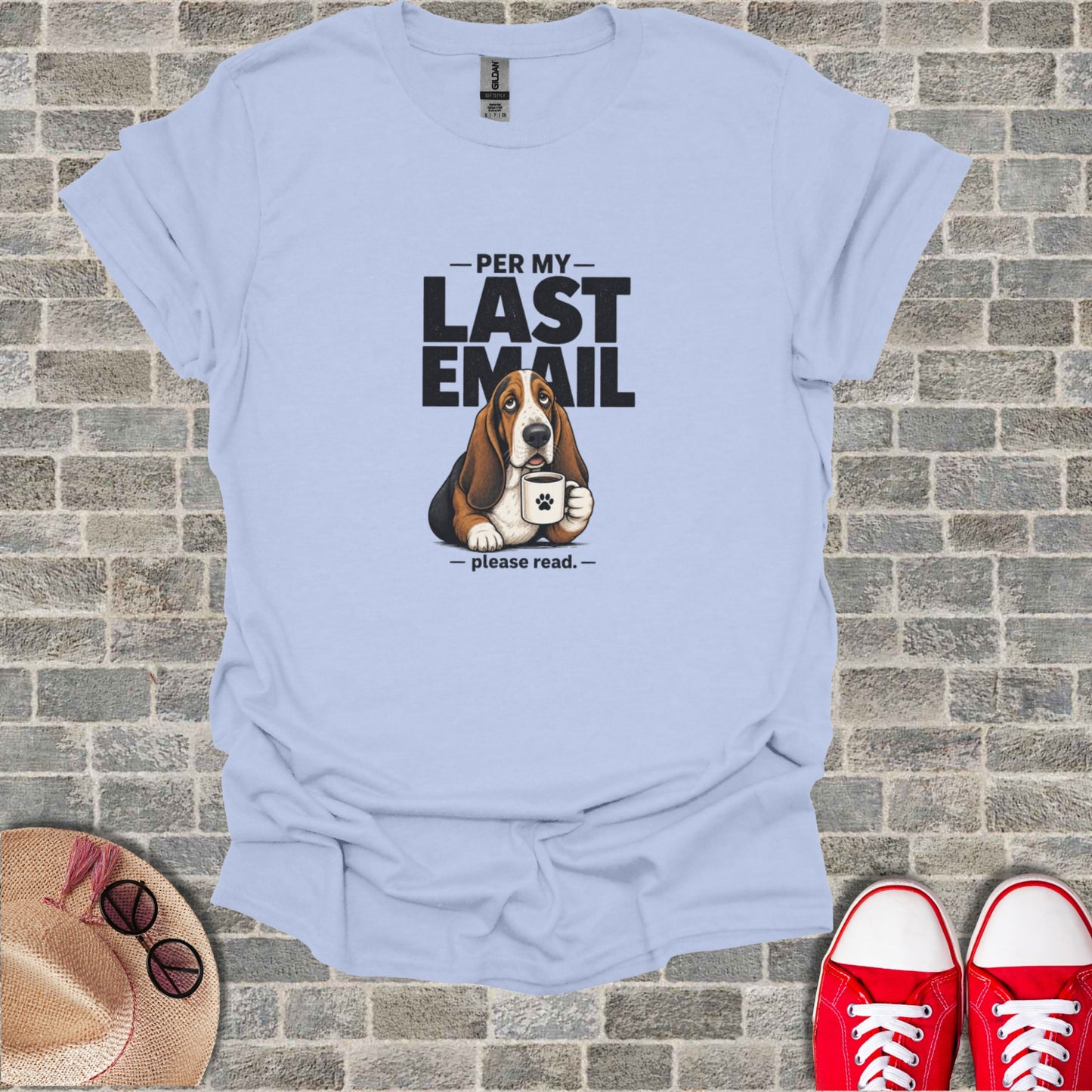 Light blue t-shirt with a basset hound and text "PER MY LAST EMAIL -- please read."