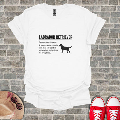 White t-shirt with "LABRADOR RETRIEVER" and dog illustration.