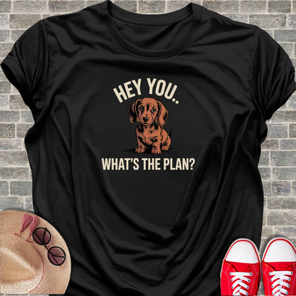 Hey_You_Whats_The_Plan