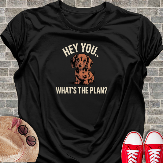 Hey_You_Whats_The_Plan