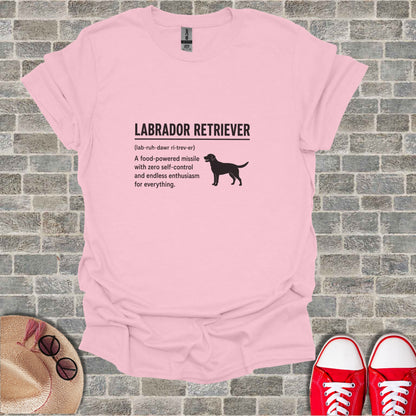 Pink t-shirt with "LABRADOR RETRIEVER" and dog graphic.