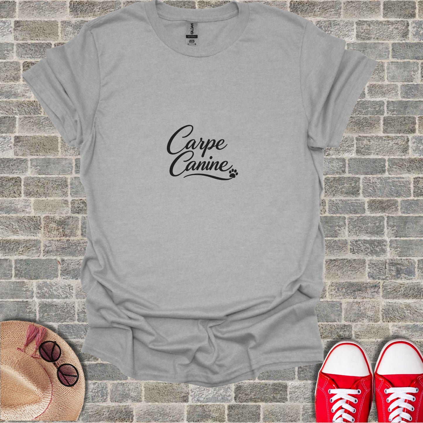 Carpe Canine Paw Print Graphic Grey Short Sleeve product type