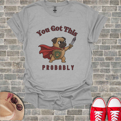 Pug wearing cape and shield, holding sword, with text "You Got This PROBABLY".