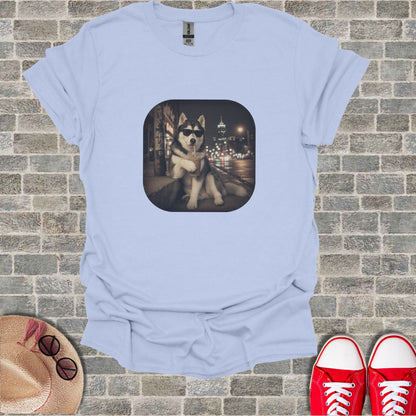 Husky dog wearing sunglasses, drinking iced coffee with blurred city lights background.
