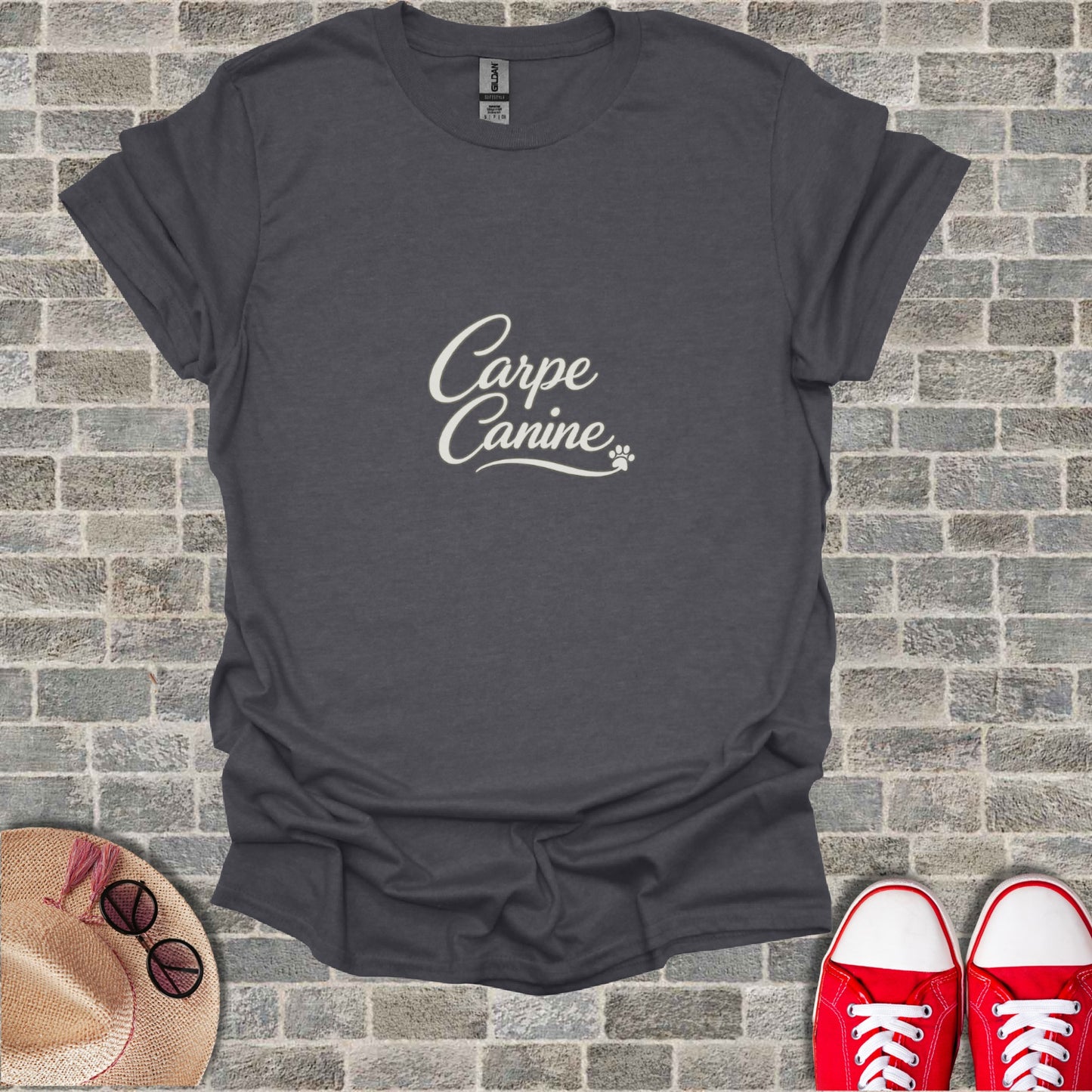 Carpe Canine paw print design gray t-shirt product type